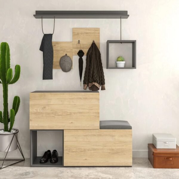Multi-Functional Entryway Shoe Cabinet with Coat Rack