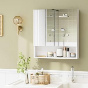 Mirror Storage Cabinet